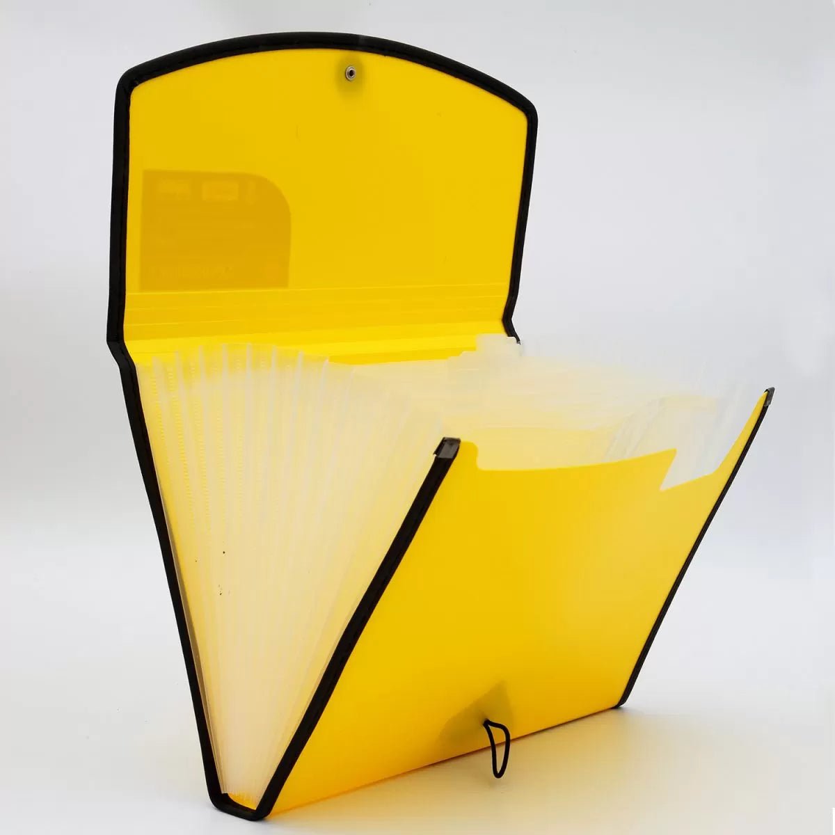 Expanding File – Elastic with Sewing, 12 section, A4 size (EX802) - Filex Systems Pvt Ltd