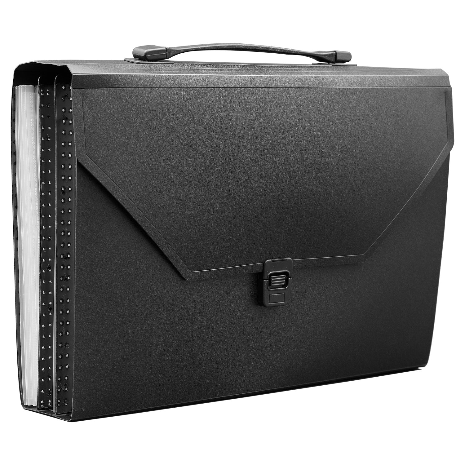 Expanding Case – 31 Pocket, Lock & Handle (EX904)