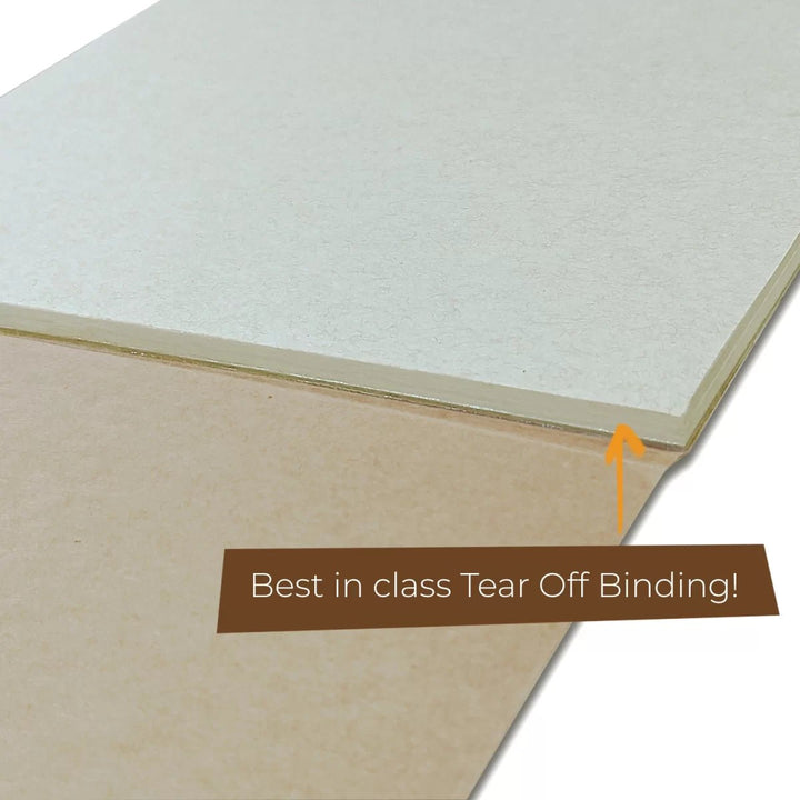 Eco - Friendly Notepad, Pack of 2, 50 Sheets Each - Filex Systems Pvt Ltd