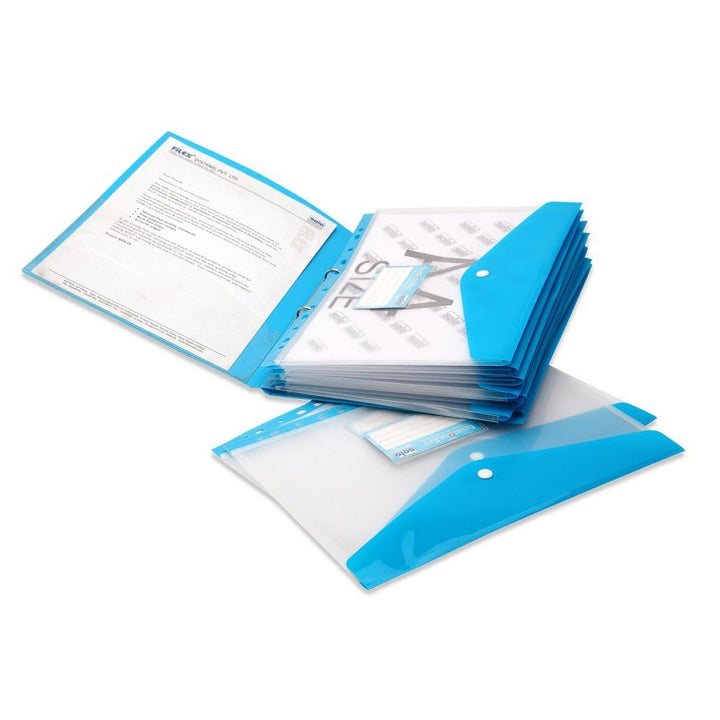 Envelope Bag With 11 Holes – LS – A4 (CH203), Pack of 10 - Filex Systems Pvt Ltd