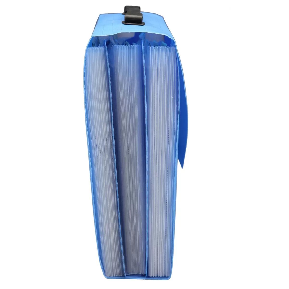 Expanding Case – 31 Pocket, Lock & Handle (EX904) - Filex Systems Pvt Ltd