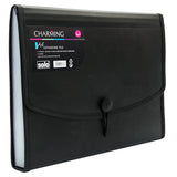 Expanding File – Elastic with Sewing, 12 section, A4 size (EX802) - Filex Systems Pvt Ltd