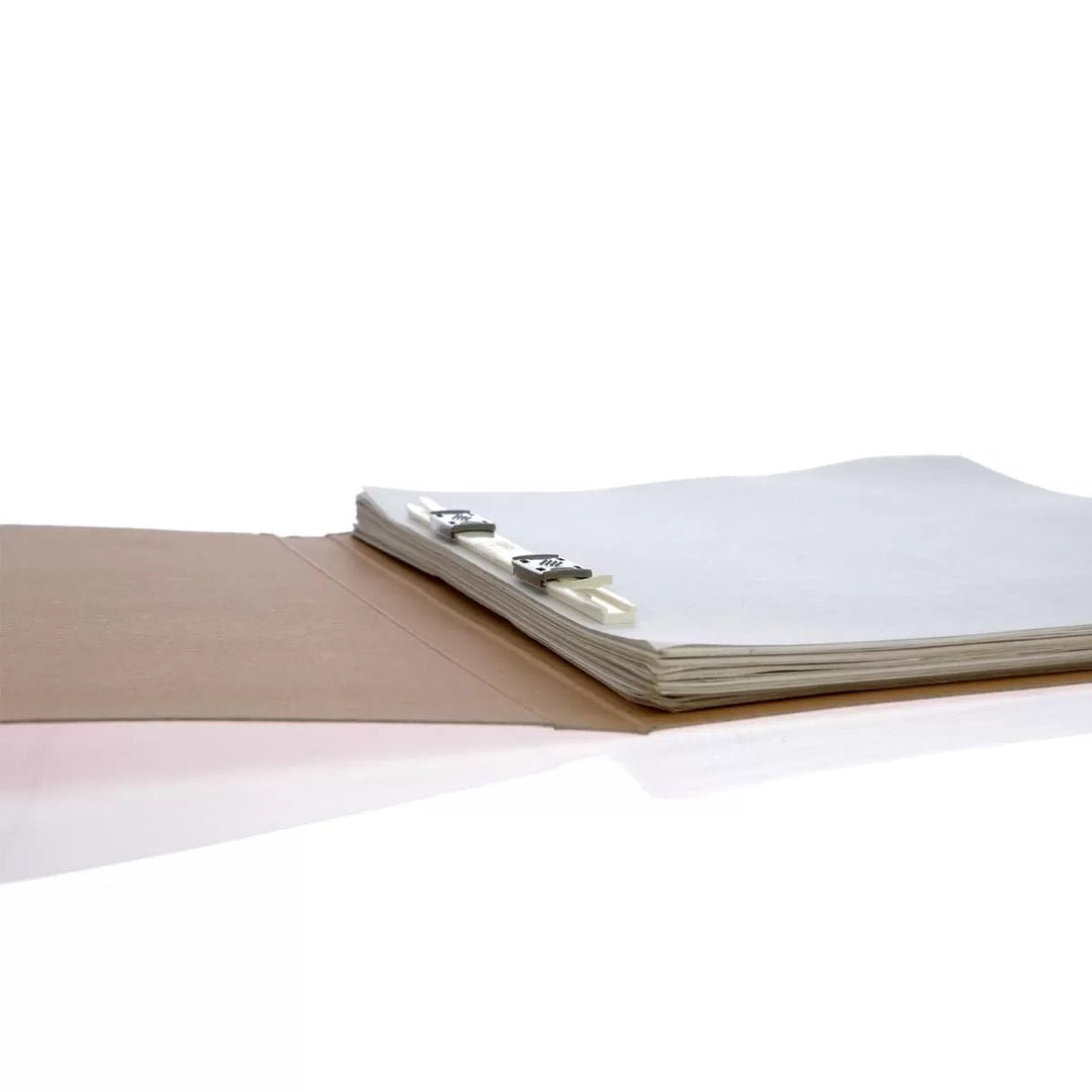 Paper Board Gripper Clip File – A4, Pack of 10 (PF006) - Filex Systems Pvt Ltd