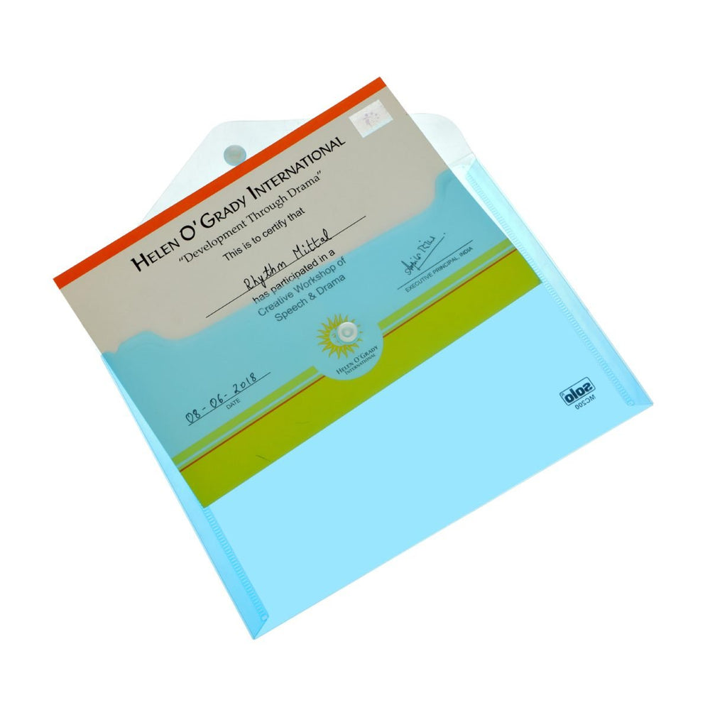 Transparent Button Bag, Cheque & A5 size (Pack of 10) - Filex Systems Pvt Ltd