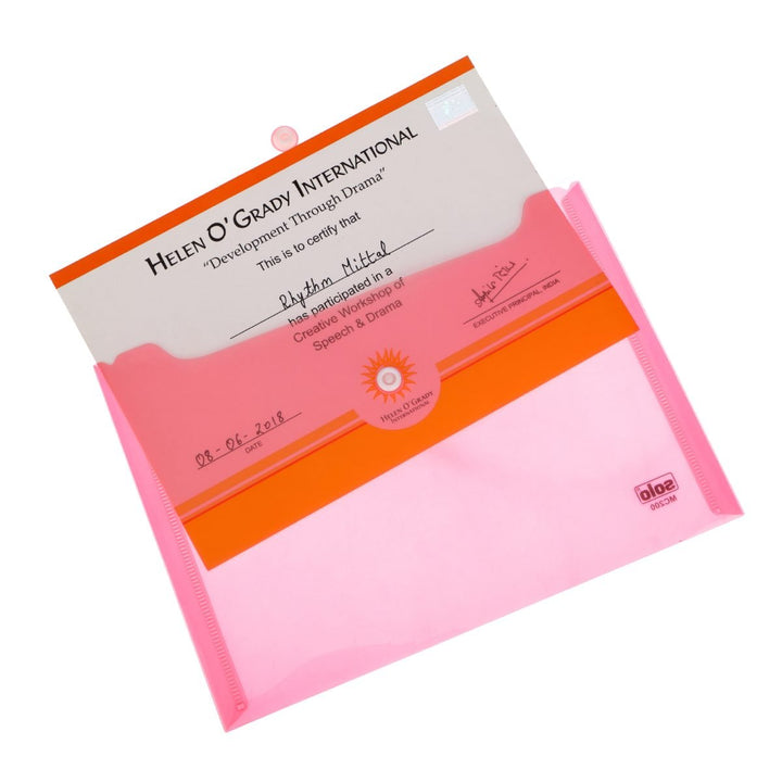 Transparent Button Bag, Cheque & A5 size (Pack of 10) - Filex Systems Pvt Ltd