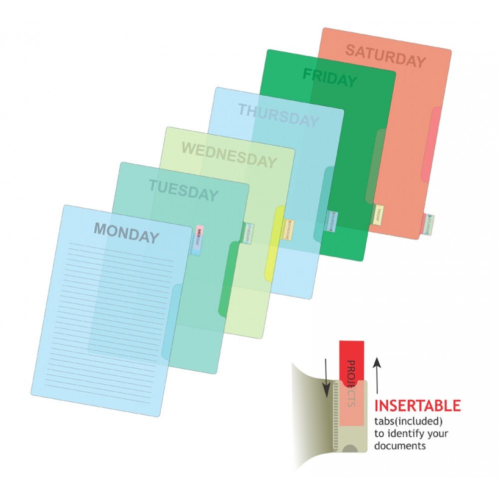 Weekly Documents Organizer 6 Pockets – DD206 (A4), Pack of 2 - Filex Systems Pvt Ltd